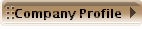 Company Profile